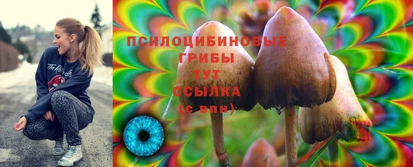 мескалин Алексеевка