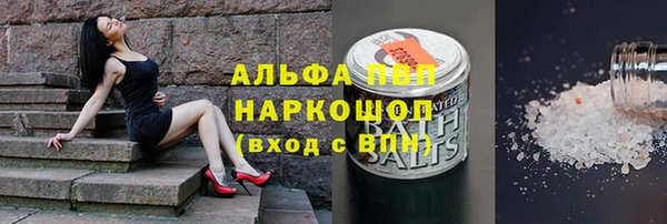 ГАЛЛЮЦИНОГЕННЫЕ ГРИБЫ Пересвет