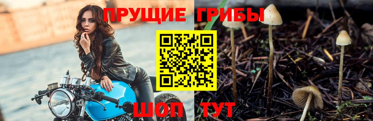 Галлюциногенные грибы MAGIC MUSHROOMS Михайловск