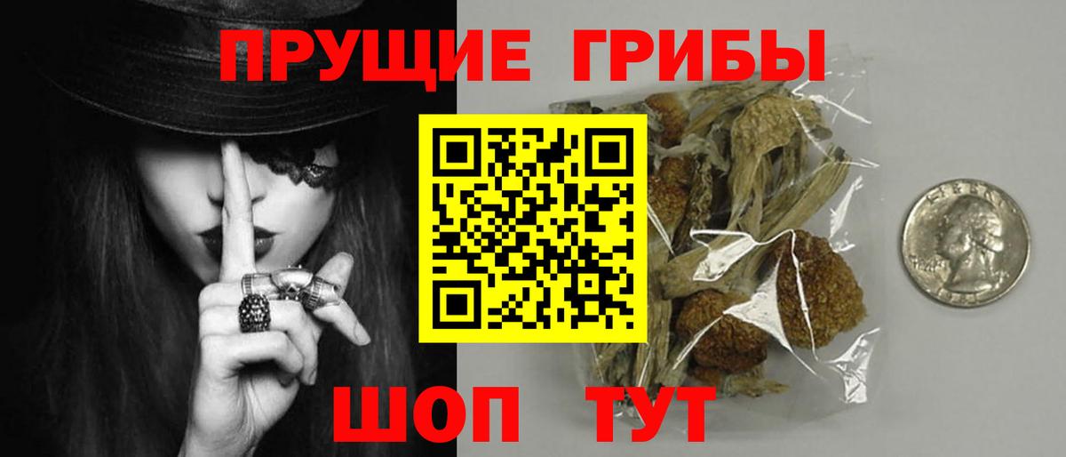 Галлюциногенные грибы Cubensis  Вход с VPN  Псилоцибиновые грибы Psilocybe  Михайловск 